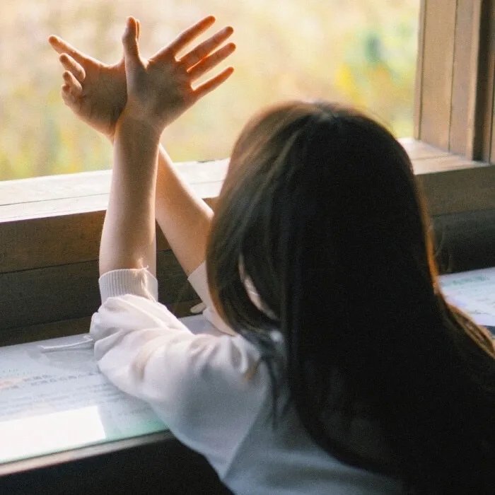 海贼王剧场版9：冬季绽放的奇迹之樱