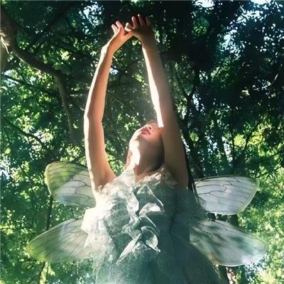 好汉两个半第六季